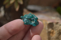 Natural Dioptase On Dolomite Specimens x 35 From Likasi, Congo