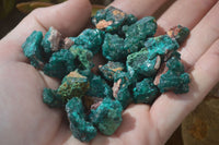 Natural Dioptase On Dolomite Specimens x 35 From Likasi, Congo