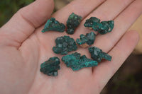 Natural Dioptase On Dolomite Specimens x 35 From Likasi, Congo