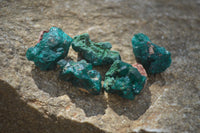 Natural Dioptase On Dolomite Specimens x 35 From Likasi, Congo