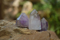 Polished Window Amethyst Quartz Crystals x 20 From Akansobe, Madagascar