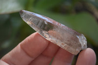 Natural Smokey Quartz Crystals x 35 From Zomba, Malawi