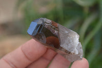 Natural Smokey Quartz Crystals x 35 From Zomba, Malawi