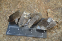 Natural Smokey Quartz Crystals x 35 From Zomba, Malawi