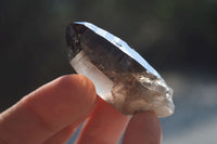 Natural Smokey Quartz Crystals x 35 From Zomba, Malawi