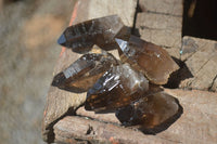 Natural Smokey Quartz Crystals x 35 From Zomba, Malawi