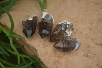 Natural Smokey Quartz Crystals x 35 From Zomba, Malawi