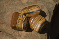 Polished Tiger's Eye Free Forms x 3 From Prieska, South Africa