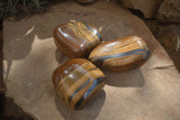 Polished Tiger's Eye Free Forms x 3 From Prieska, South Africa