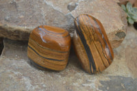 Polished Tiger's Eye Free Forms x 3 From Prieska, South Africa