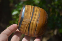 Polished Tiger's Eye Free Forms x 3 From Prieska, South Africa