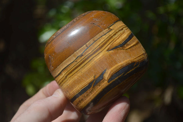 Polished Tiger's Eye Free Forms x 3 From Prieska, South Africa