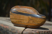 Polished Tiger's Eye Free Forms x 3 From Prieska, South Africa