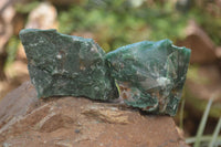 Natural Swazi Jade Cobbed Specimens x 12 from Swaziland