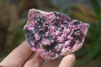 Natural Salrose Cobaltion Dolomite Specimens x 6 From Kakanda, Congo