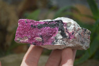 Natural Salrose Cobaltion Dolomite Specimens x 6 From Kakanda, Congo