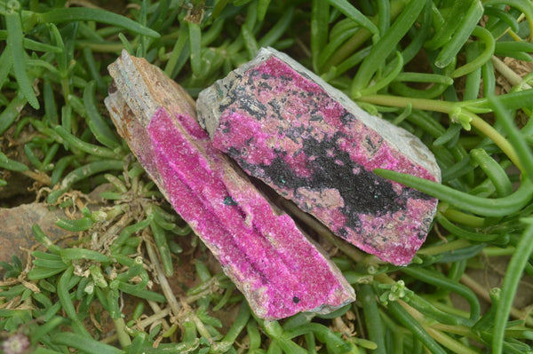 Natural Salrose Cobaltion Dolomite Specimens x 6 From Kakanda, Congo