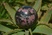 Polished Rhodonite Spheres x 3 From Madagascar