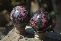 Polished Rhodonite Spheres x 3 From Madagascar