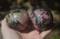 Polished Rhodonite Spheres x 3 From Madagascar