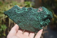 Natural Botryoidal Malachite Specimens x 2 From Tenke Fungurume, Congo