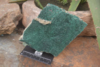 Natural Botryoidal Malachite Specimens x 2 From Tenke Fungurume, Congo