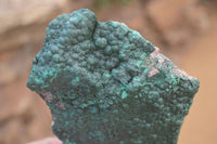 Natural Botryoidal Malachite Specimens x 2 From Tenke Fungurume, Congo