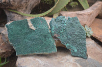 Natural Botryoidal Malachite Specimens x 2 From Tenke Fungurume, Congo