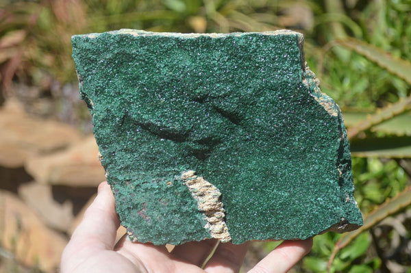 Natural Botryoidal Malachite Specimens x 2 From Tenke Fungurume, Congo