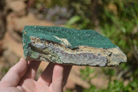 Natural Botryoidal Malachite Specimens x 2 From Tenke Fungurume, Congo