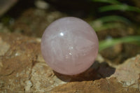 Polished Rose Quartz Spheres x 6 From Madagascar