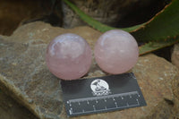 Polished Rose Quartz Spheres x 6 From Madagascar