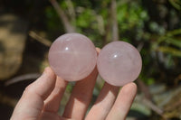 Polished Rose Quartz Spheres x 6 From Madagascar