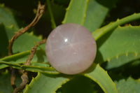 Polished Rose Quartz Spheres x 6 From Madagascar