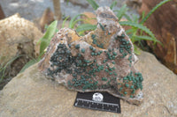 Natural Ball Malachite On Quartz Matrix Specimen x 1 From Kambove, Congo