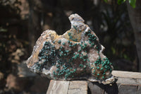 Natural Ball Malachite On Quartz Matrix Specimen x 1 From Kambove, Congo