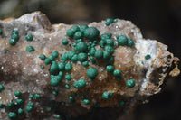 Natural Ball Malachite On Quartz Matrix Specimen x 1 From Kambove, Congo