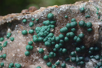 Natural Ball Malachite On Quartz Matrix Specimen x 1 From Kambove, Congo