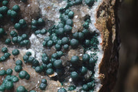 Natural Ball Malachite On Quartz Matrix Specimen x 1 From Kambove, Congo