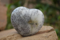 Polished Dendritic Opal Gemstone Hearts x 12 From Moralambo, Madagascar