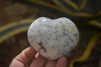 Polished Dendritic Opal Gemstone Hearts x 12 From Moralambo, Madagascar