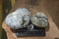 Polished Dendritic Opal Gemstone Hearts x 12 From Moralambo, Madagascar