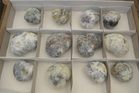 Polished Dendritic Opal Gemstone Hearts x 12 From Moralambo, Madagascar