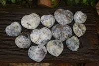 Polished Dendritic Opal Gemstone Hearts x 12 From Moralambo, Madagascar