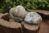 Polished Dendritic Opal Gemstone Hearts x 12 From Moralambo, Madagascar