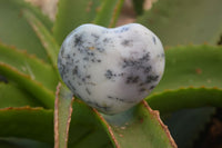 Polished Dendritic Opal Gemstone Hearts x 12 From Moralambo, Madagascar