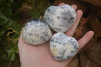 Polished Dendritic Opal Gemstone Hearts x 12 From Moralambo, Madagascar