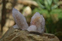 Natural Amethyst Spirit Quartz Clusters x 12 From Boekenhouthoek, South Africa