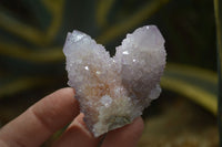 Natural Amethyst Spirit Quartz Clusters x 12 From Boekenhouthoek, South Africa