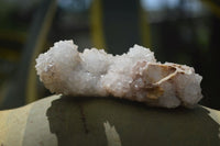 Natural Drusy Mountain Quartz Specimens x 15 From Alberts Mountain, Lesotho